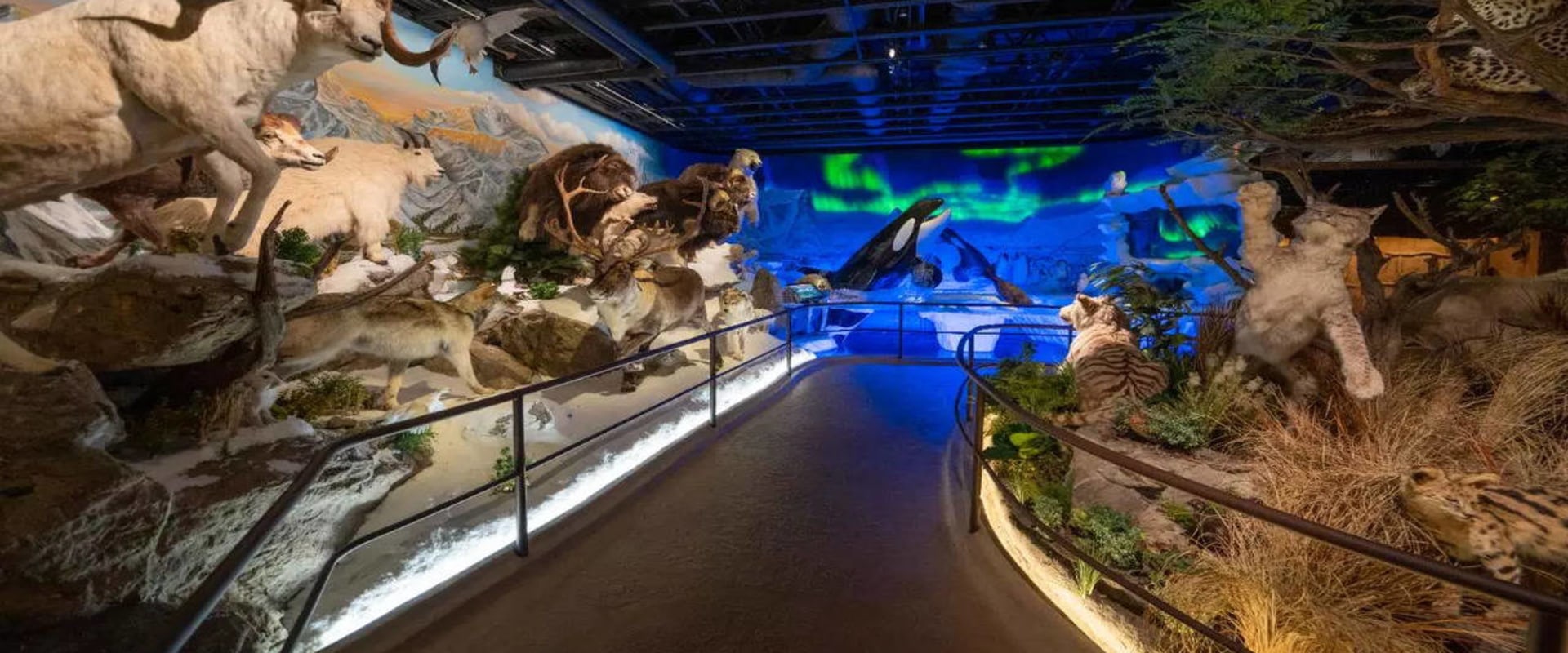 Exploring the Vibrant Art Scene: Top Art Galleries in Northern California